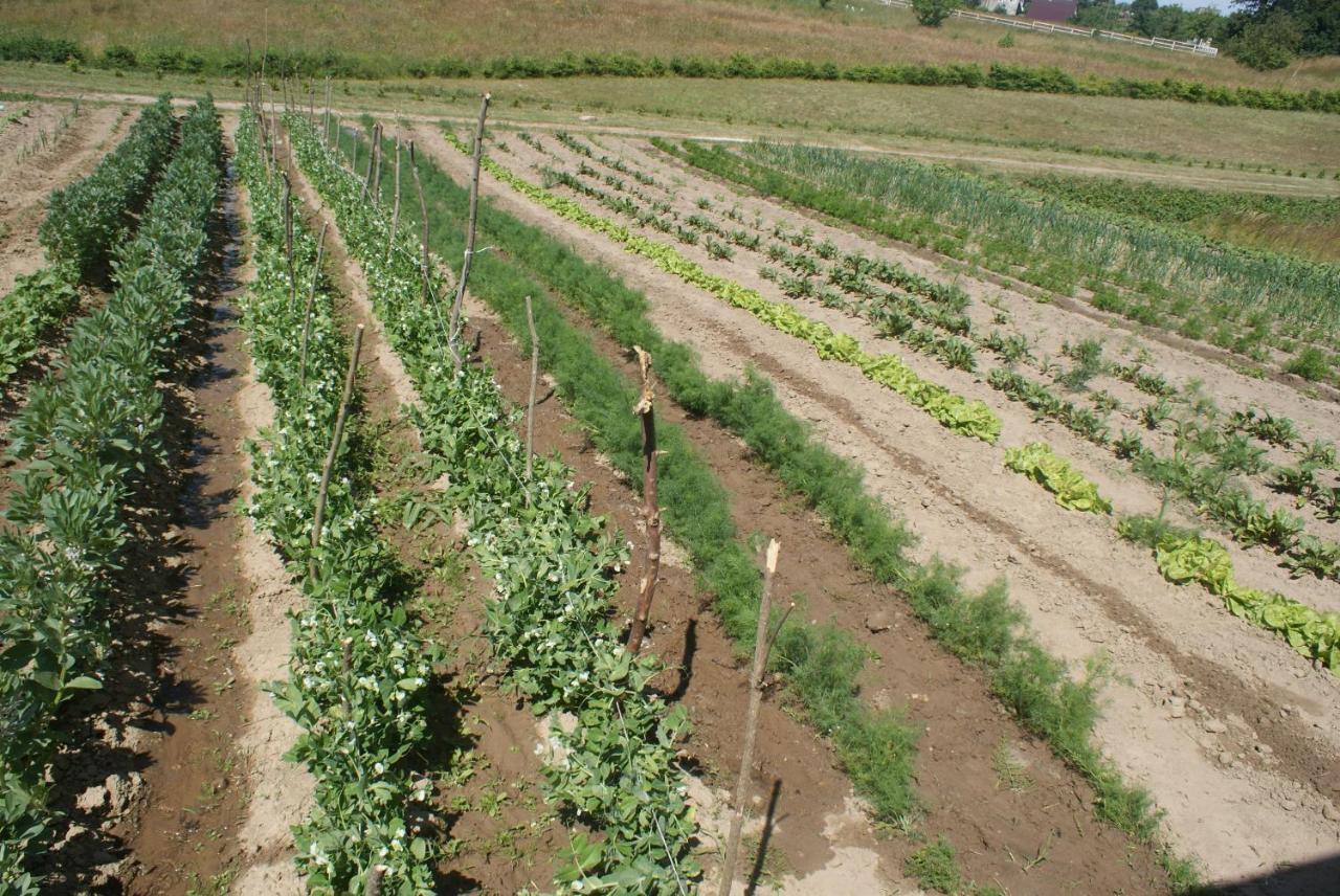 Agrodomki Okej-Bialy Dom Gardna Wielka Экстерьер фото
