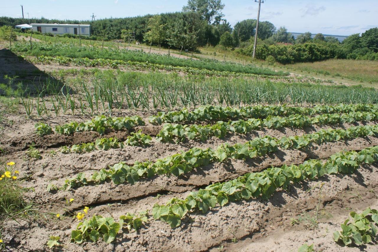 Agrodomki Okej-Bialy Dom Gardna Wielka Экстерьер фото